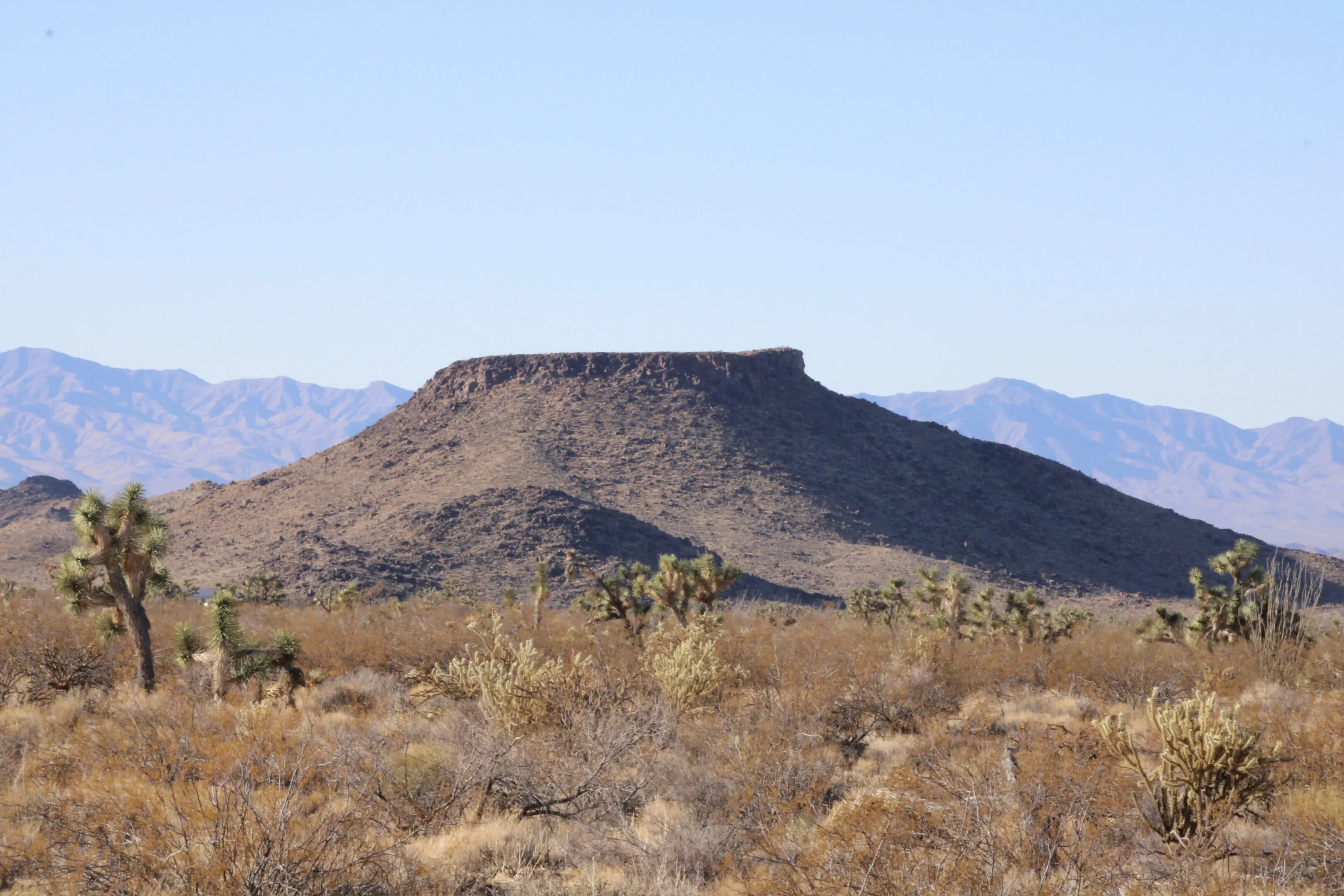 A desert landscape with mountains in the background.